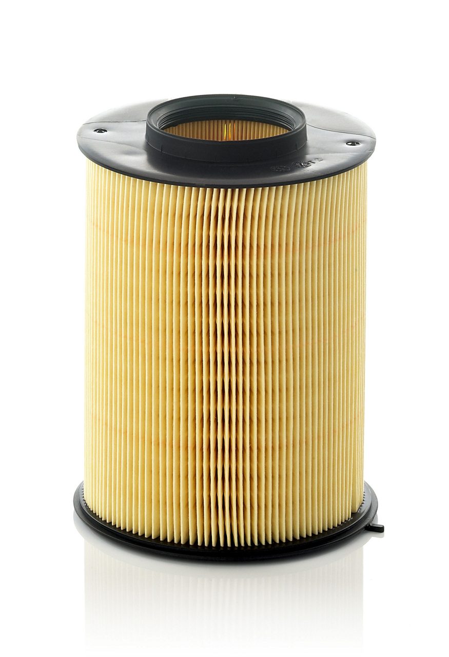 Product Image C16134/1_MANN-FILTER