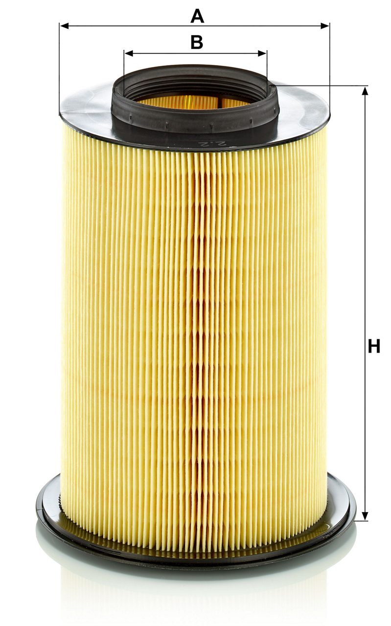 Product Image C16134/2_MANN-FILTER