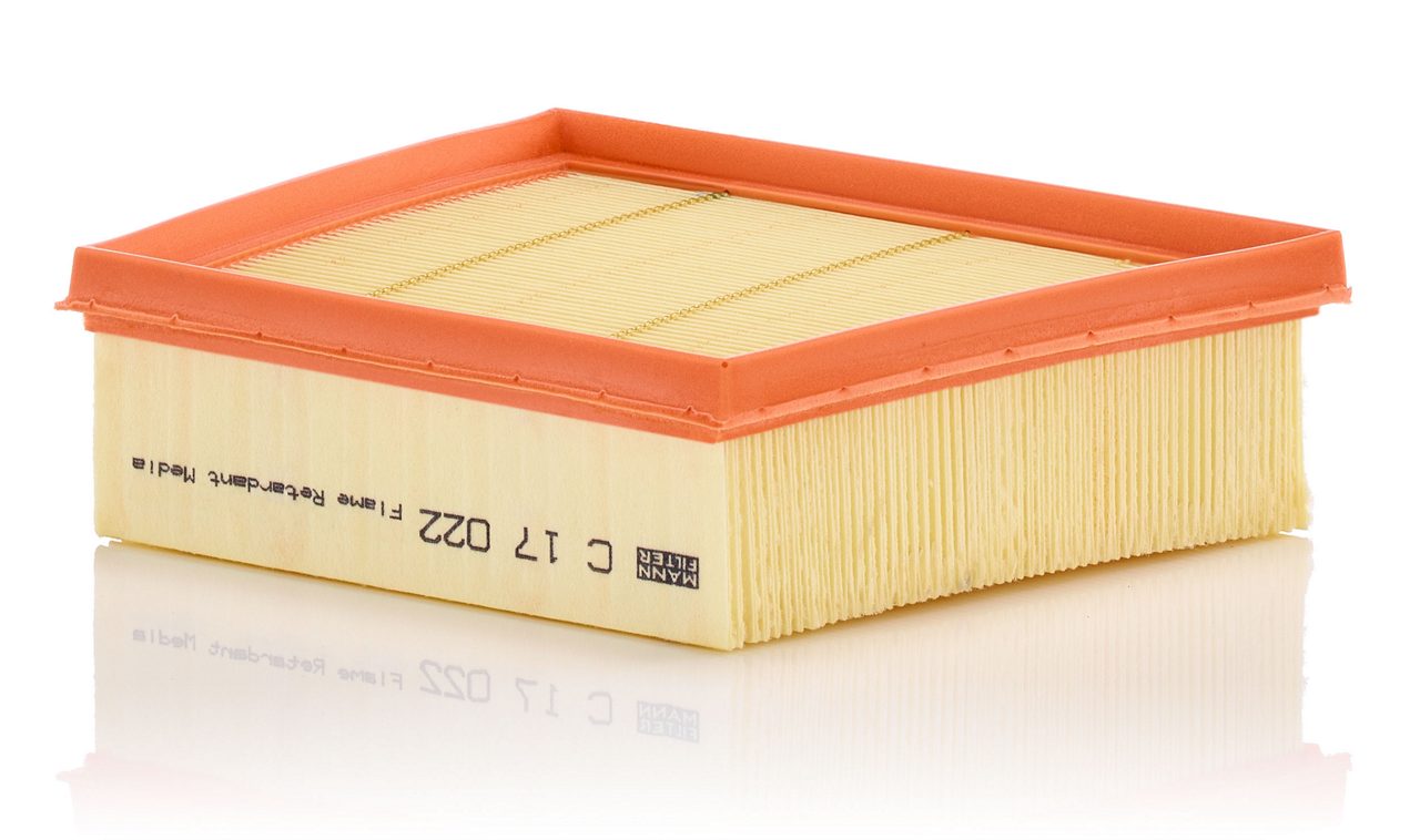 Product Image C17022_MANN-FILTER
