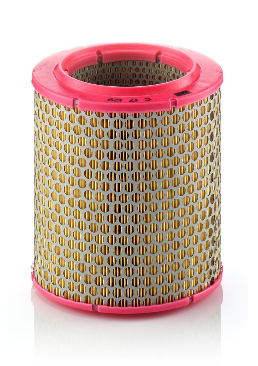 Product Image C17129_MANN-FILTER
