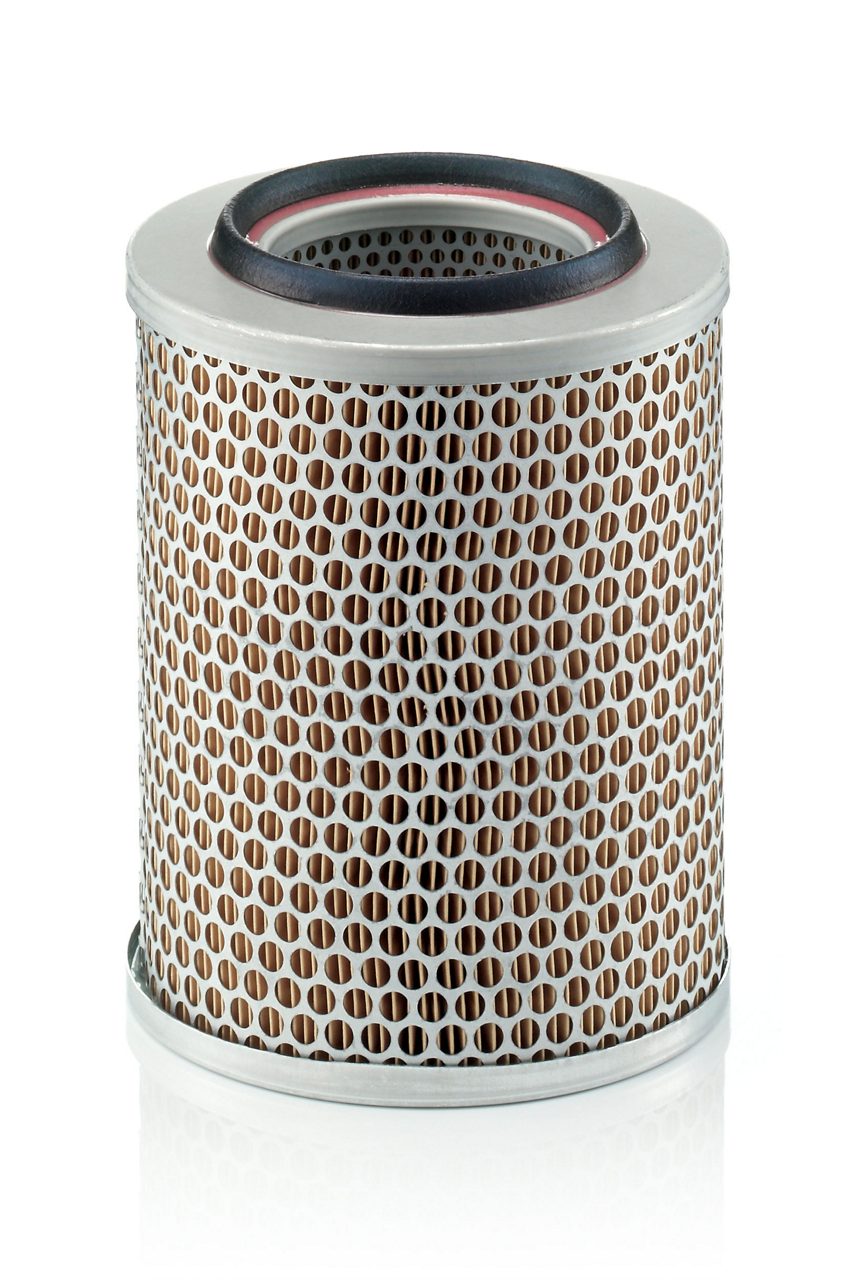 Product Image C17160_MANN-FILTER