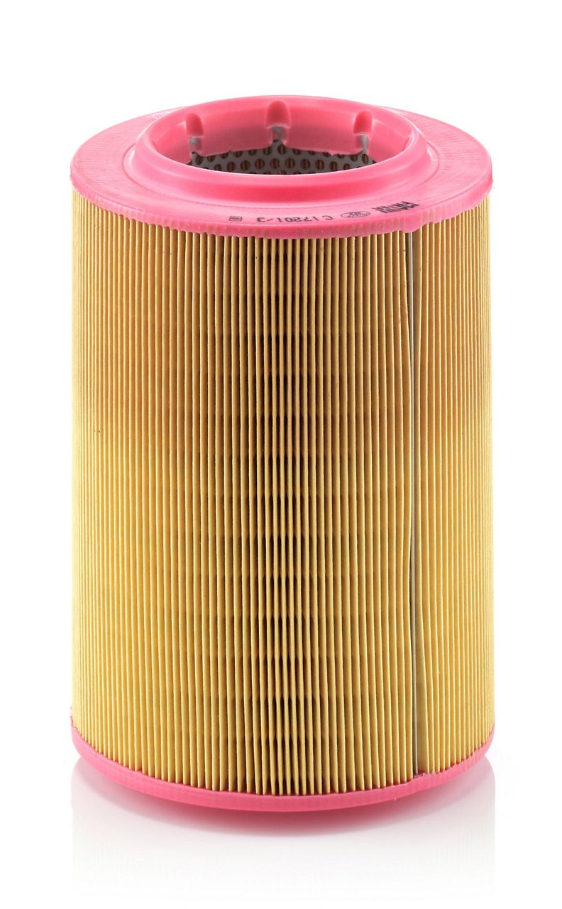 Product Image C17201/3_MANN-FILTER