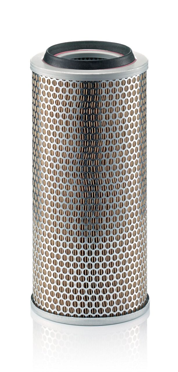 Product Image C17225/3_MANN-FILTER