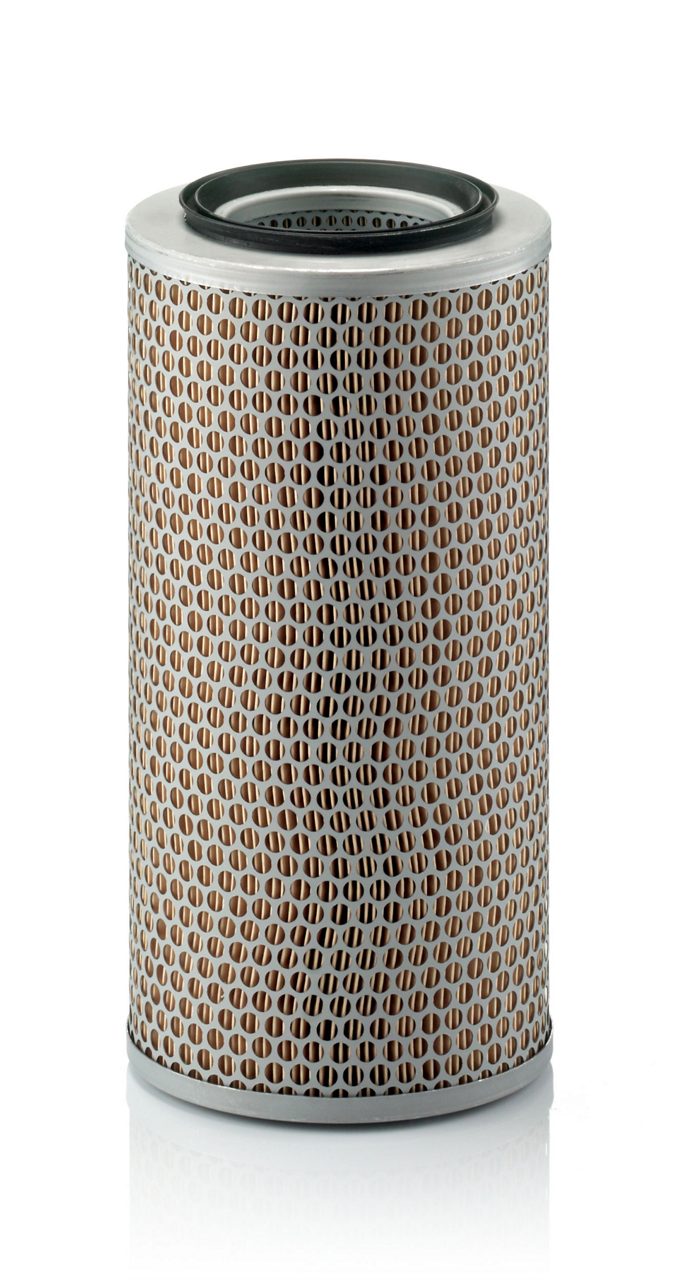 Product Image C17250_MANN-FILTER
