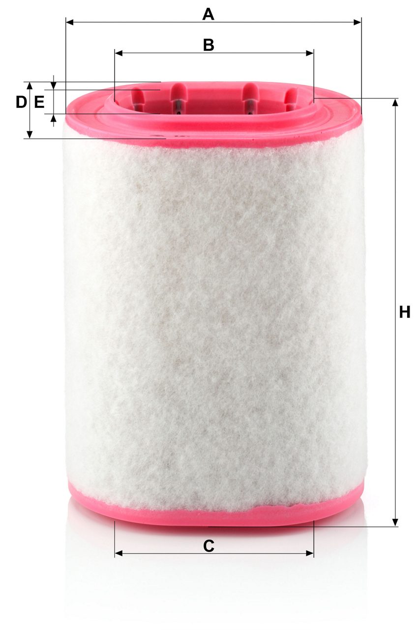 Product Image C18161_MANN-FILTER