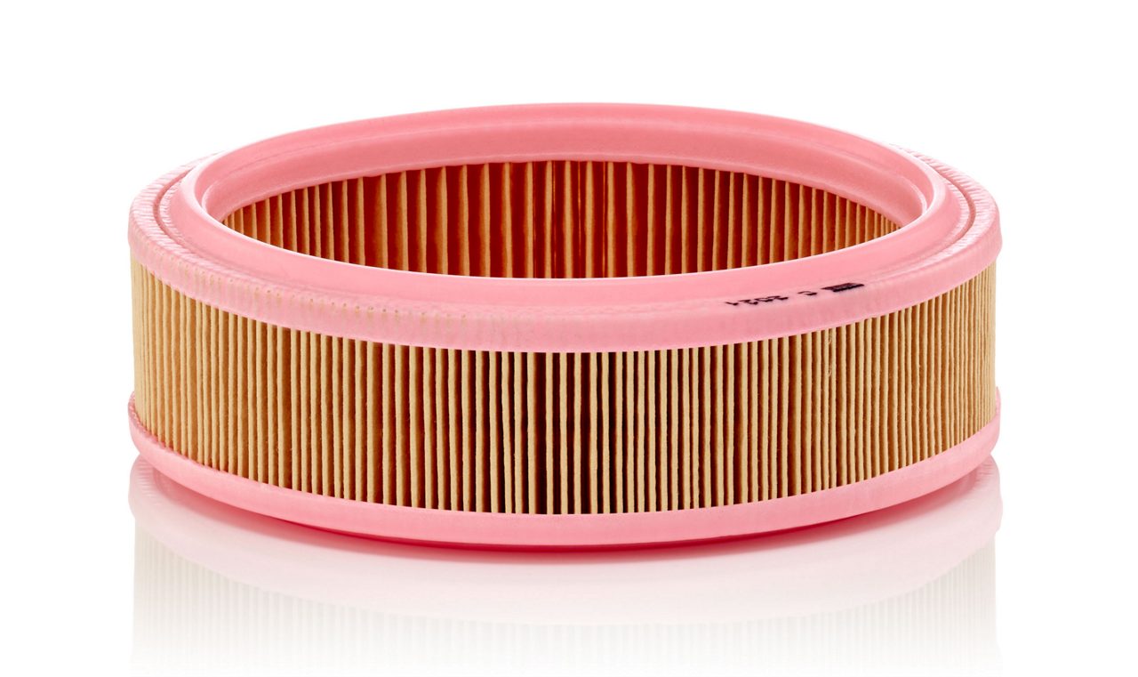 Product Image C2021_MANN-FILTER