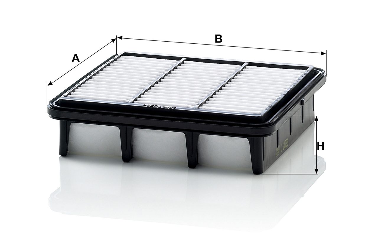 Product Image C2029_MANN-FILTER