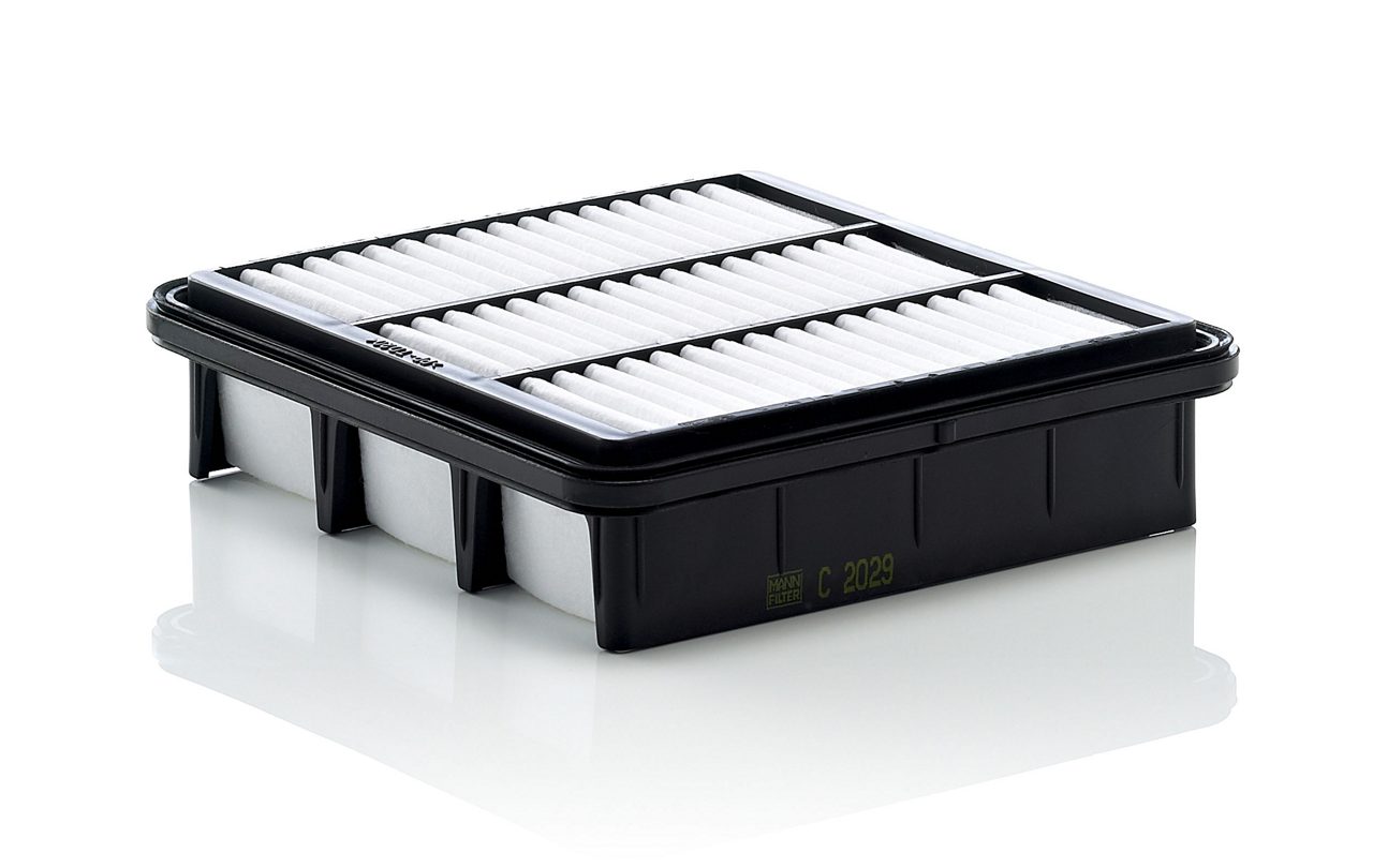 Product Image C2029_MANN-FILTER