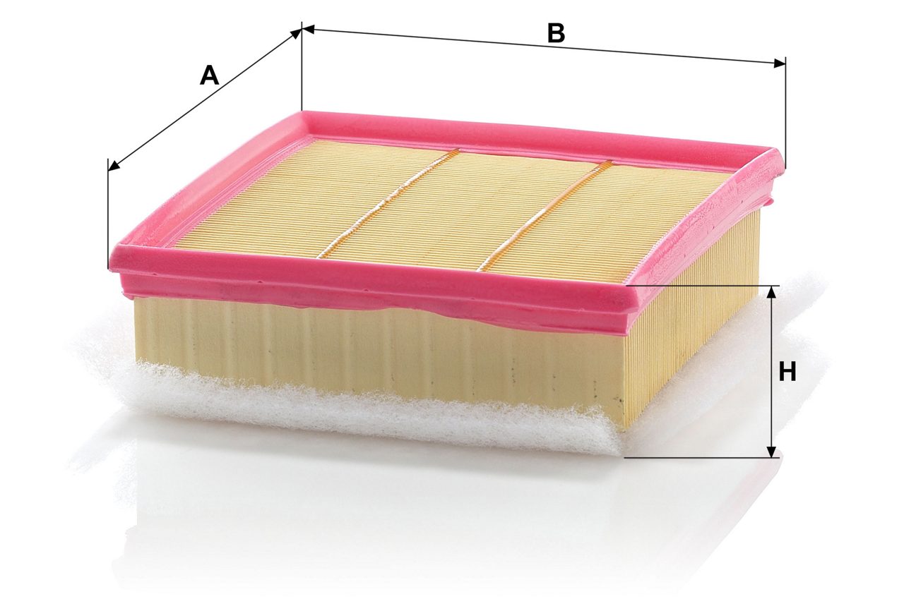 Product Image C20106/1_MANN-FILTER