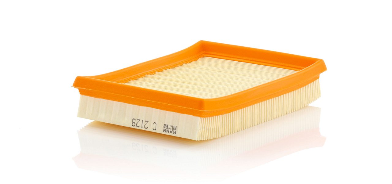 Product Image C2129_MANN-FILTER