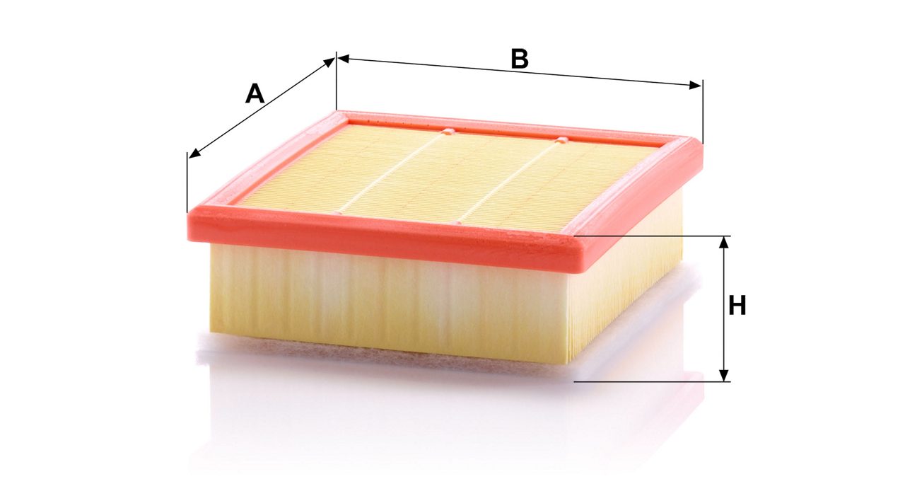 Product Image C21002_MANN-FILTER