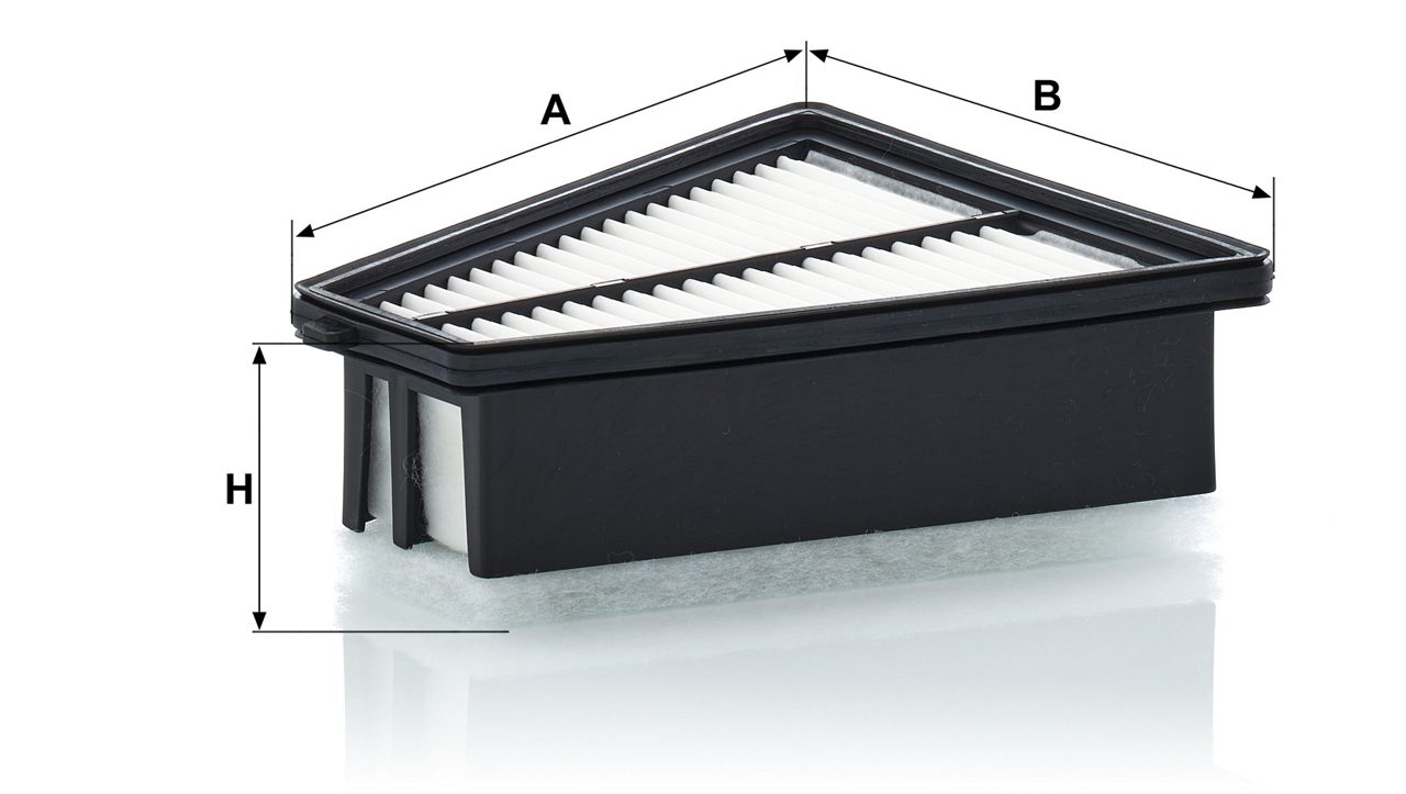 Product Image C21025_MANN-FILTER