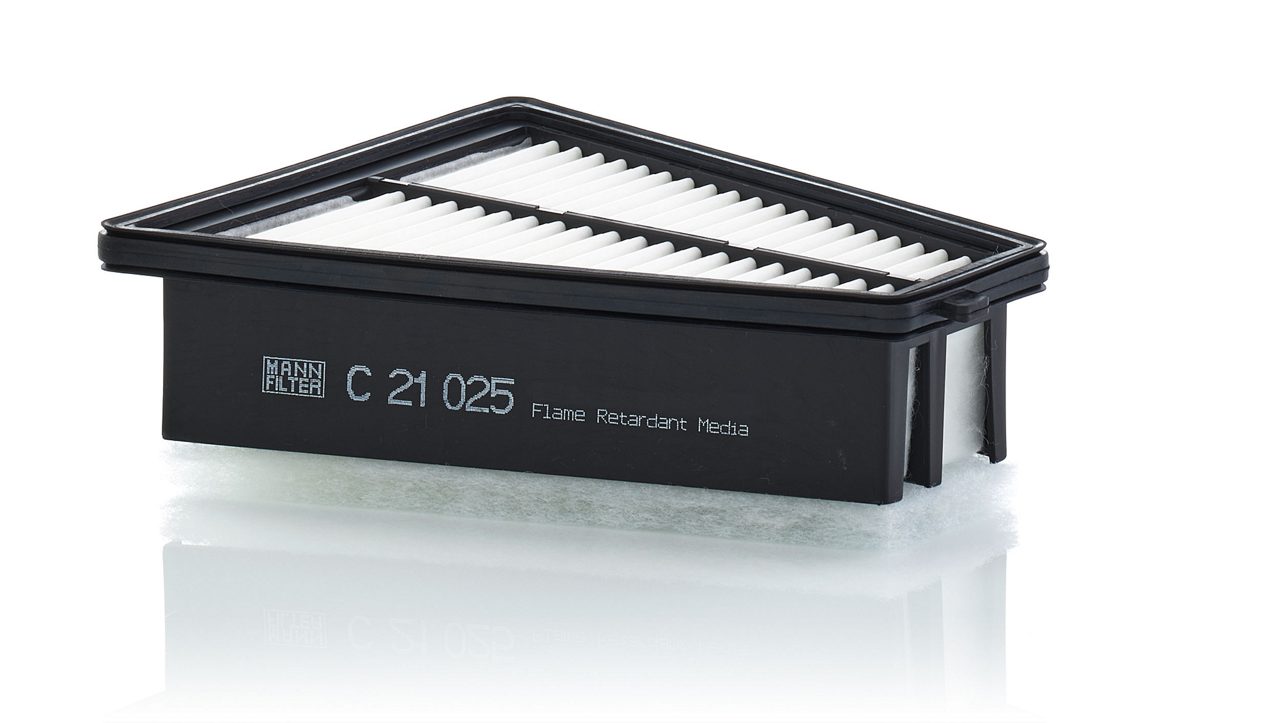 Product Image C21025_MANN-FILTER