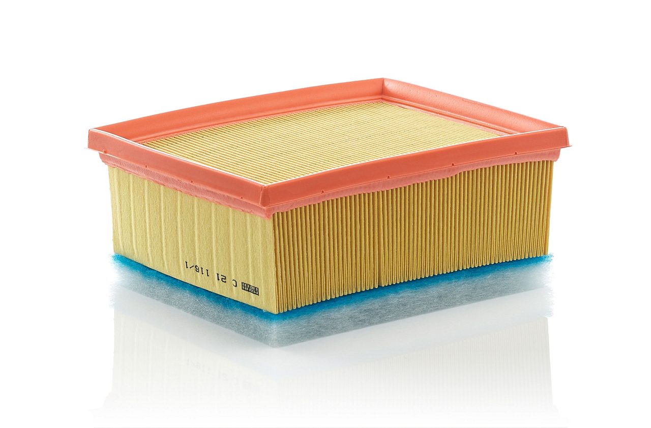 Product Image C21116/1_MANN-FILTER