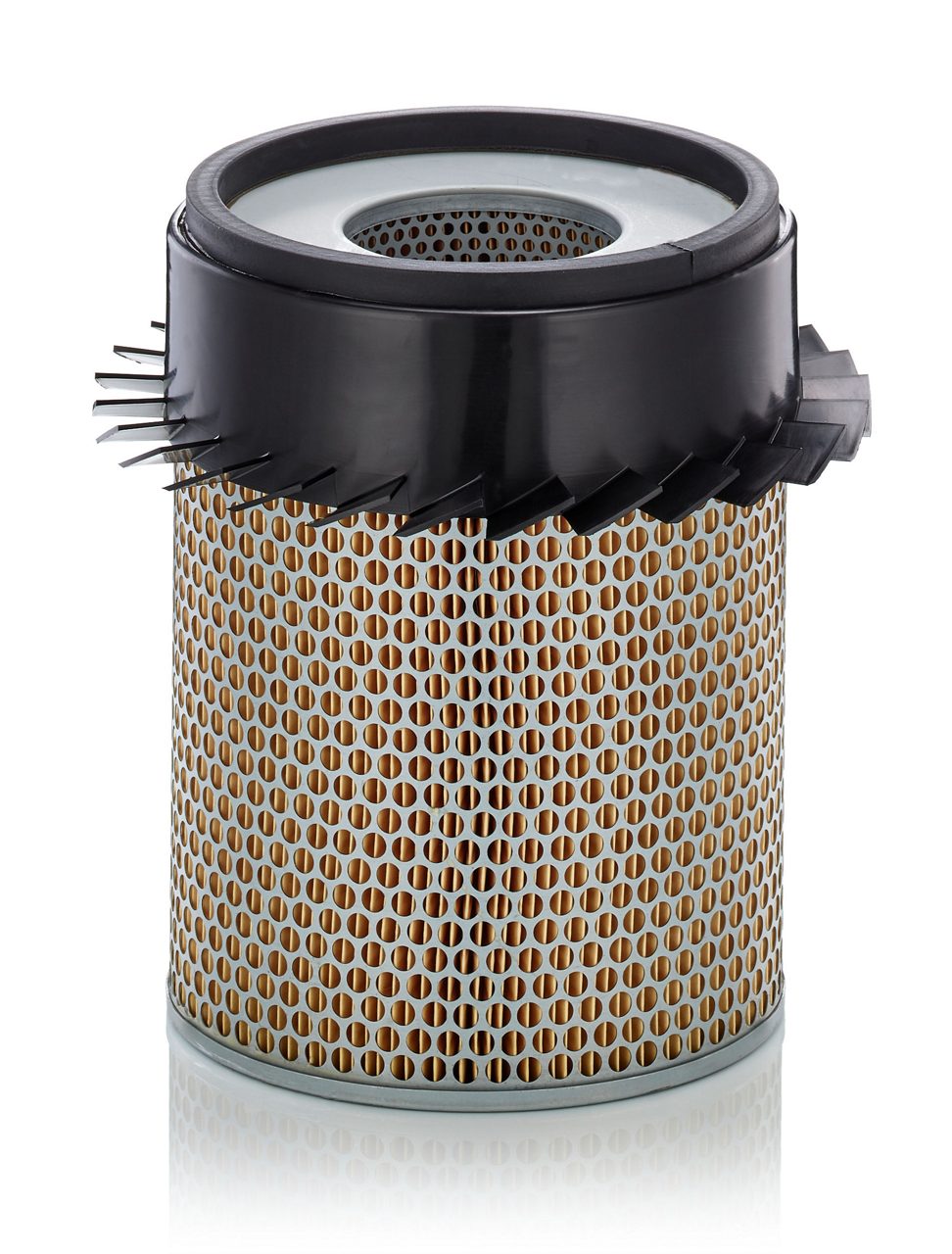 Product Image C21317_MANN-FILTER
