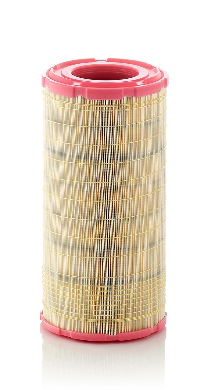 Product Image C21630/2_MANN-FILTER