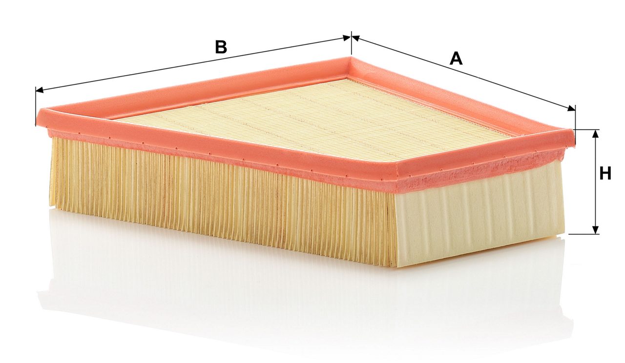 Product Image C2295/2_MANN-FILTER