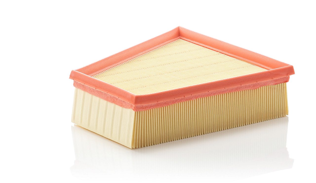 Product Image C2295/2_MANN-FILTER