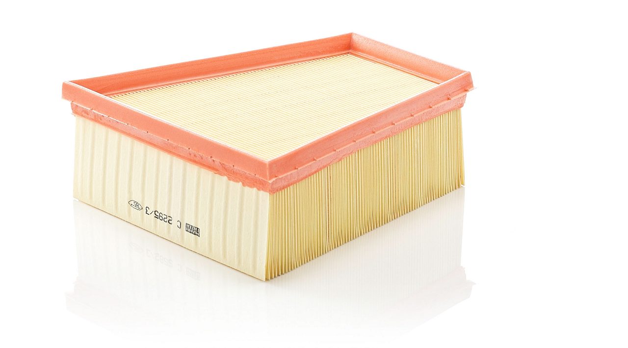 Product Image C2295/3_MANN-FILTER