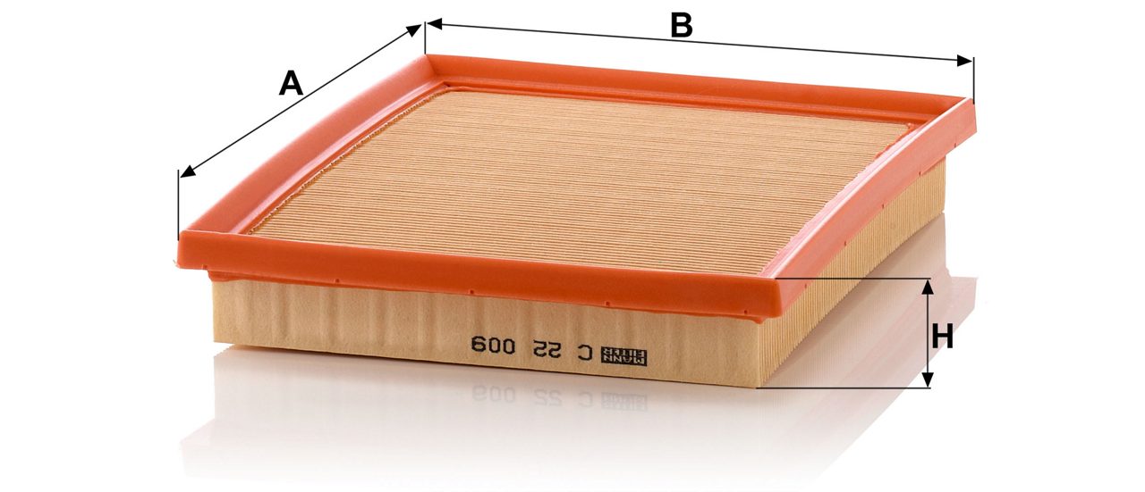 Product Image C22009_MANN-FILTER
