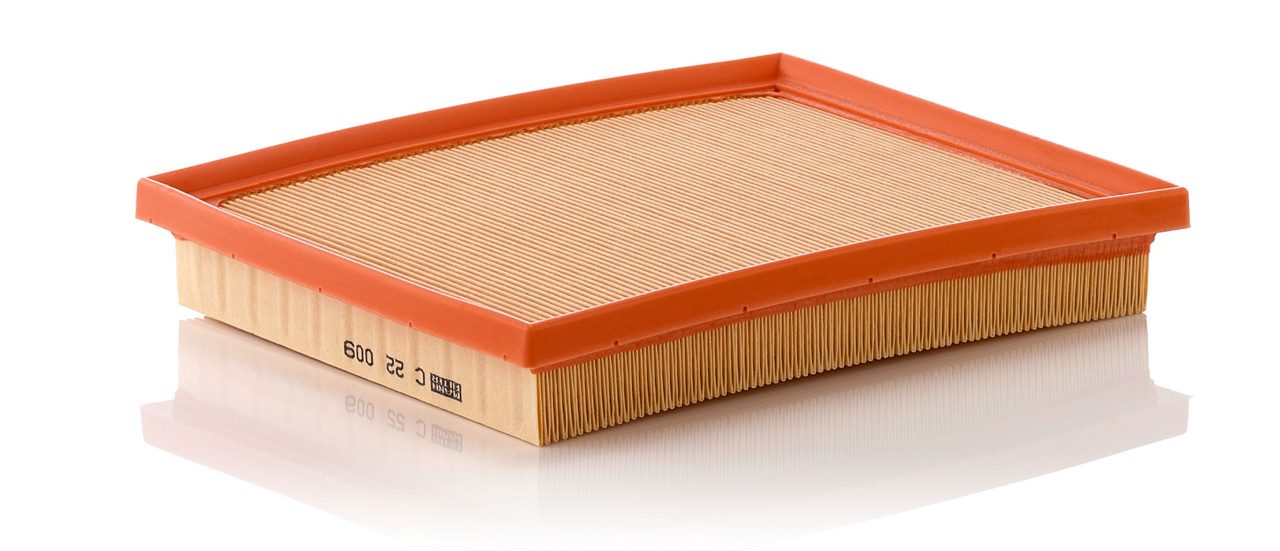 Product Image C22009_MANN-FILTER