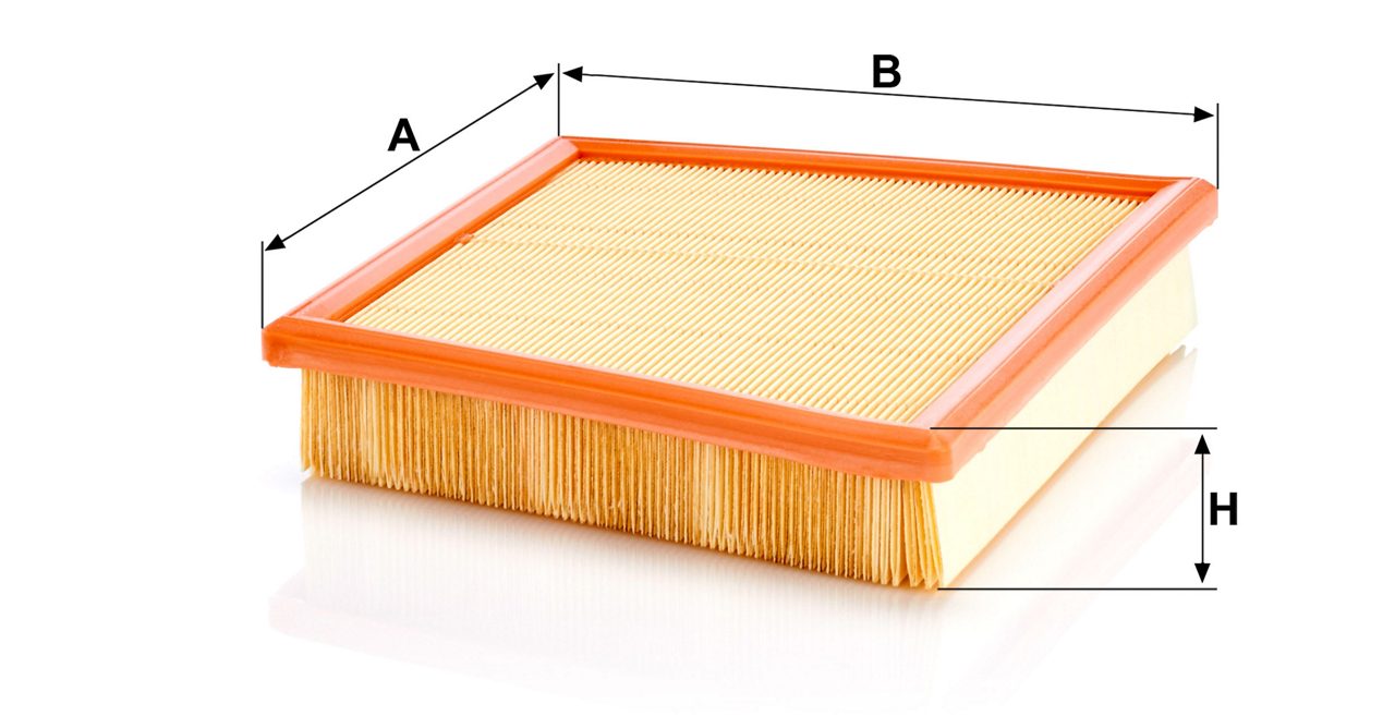 Product Image C22017_MANN-FILTER