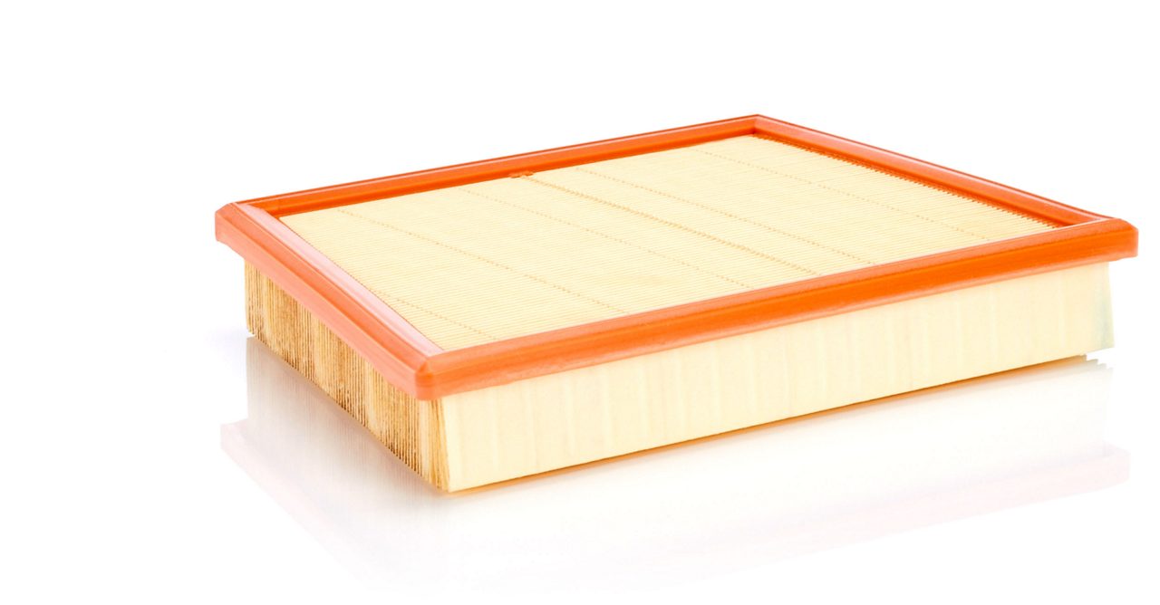 Product Image C22017_MANN-FILTER