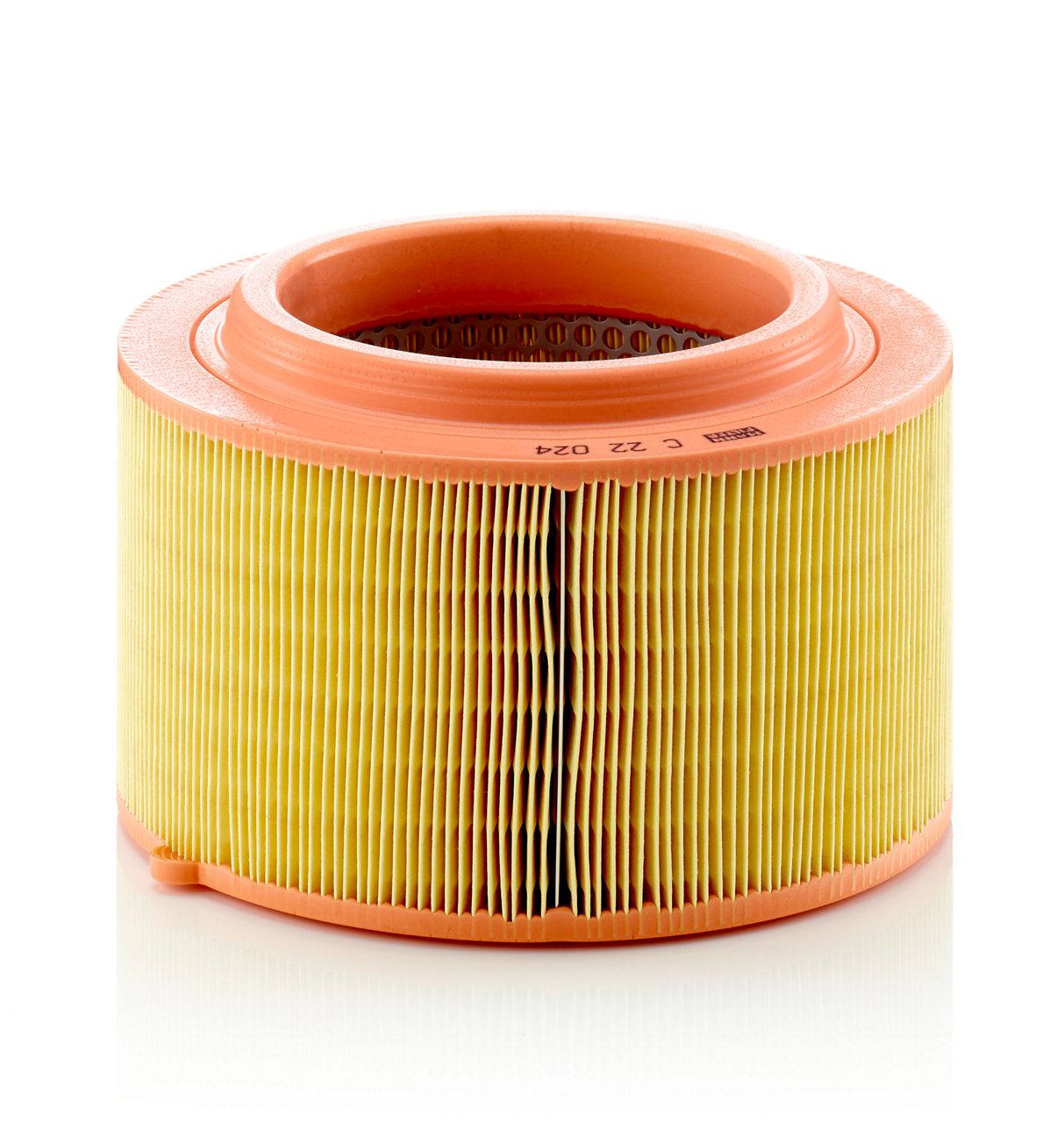 Product Image C22024_MANN-FILTER