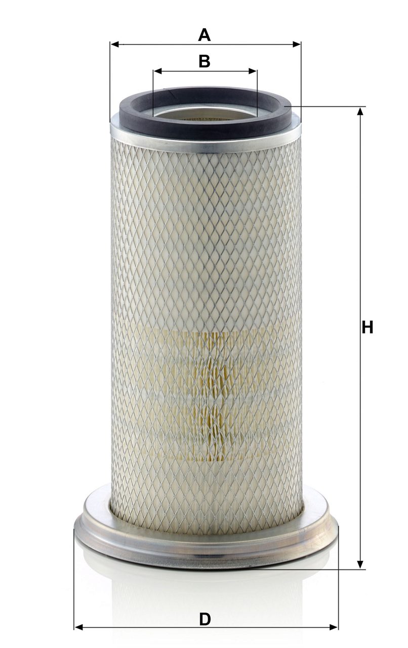 Product Image C22025_MANN-FILTER