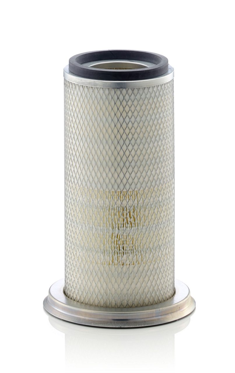 Product Image C22025_MANN-FILTER