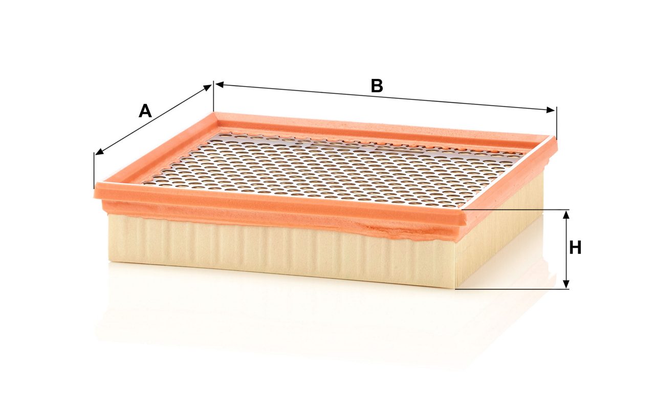 Product Image C22029_MANN-FILTER