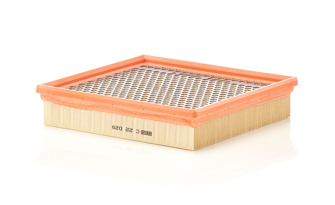 Product Image C22029_MANN-FILTER