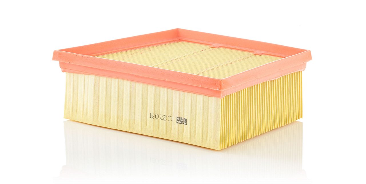 Product Image C22031_MANN-FILTER