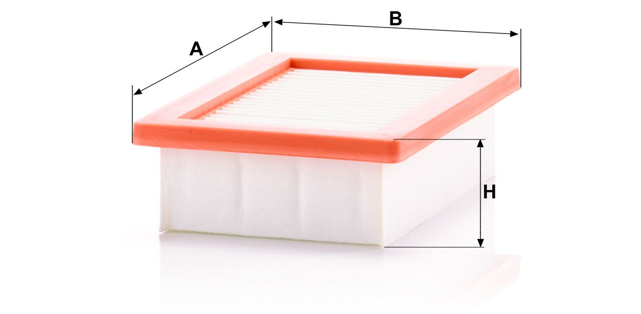 Product Image C22033_MANN-FILTER