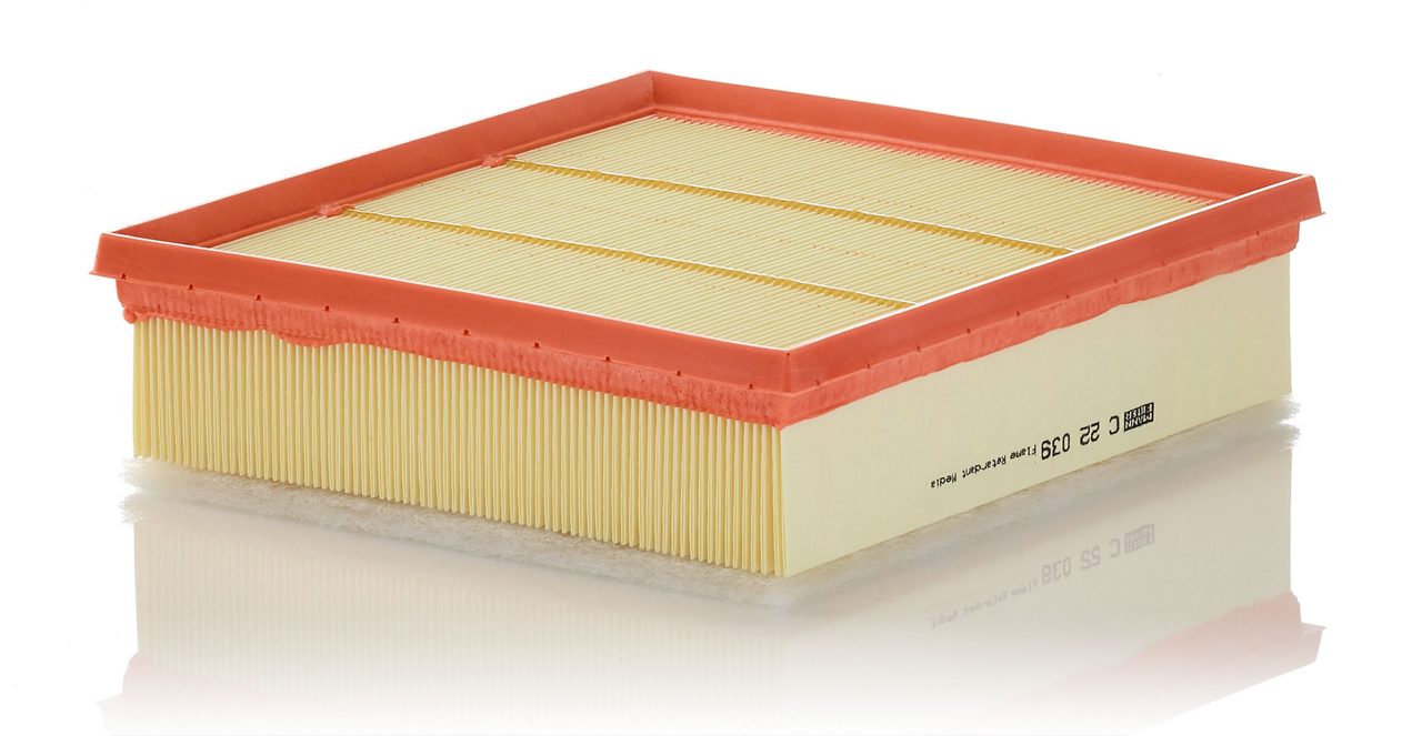 Product Image C22039_MANN-FILTER