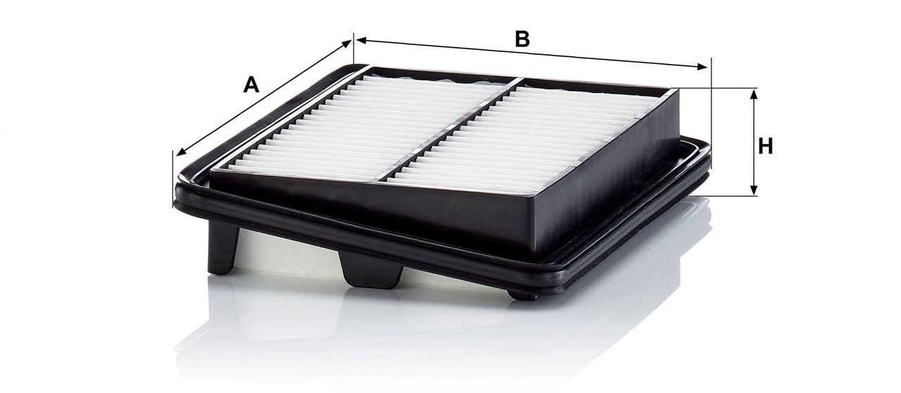 Product Image C22060_MANN-FILTER