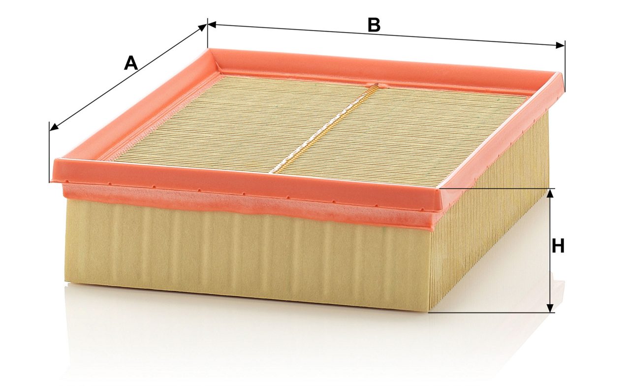 Product Image C22120_MANN-FILTER