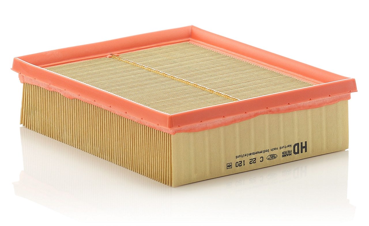 Product Image C22120_MANN-FILTER