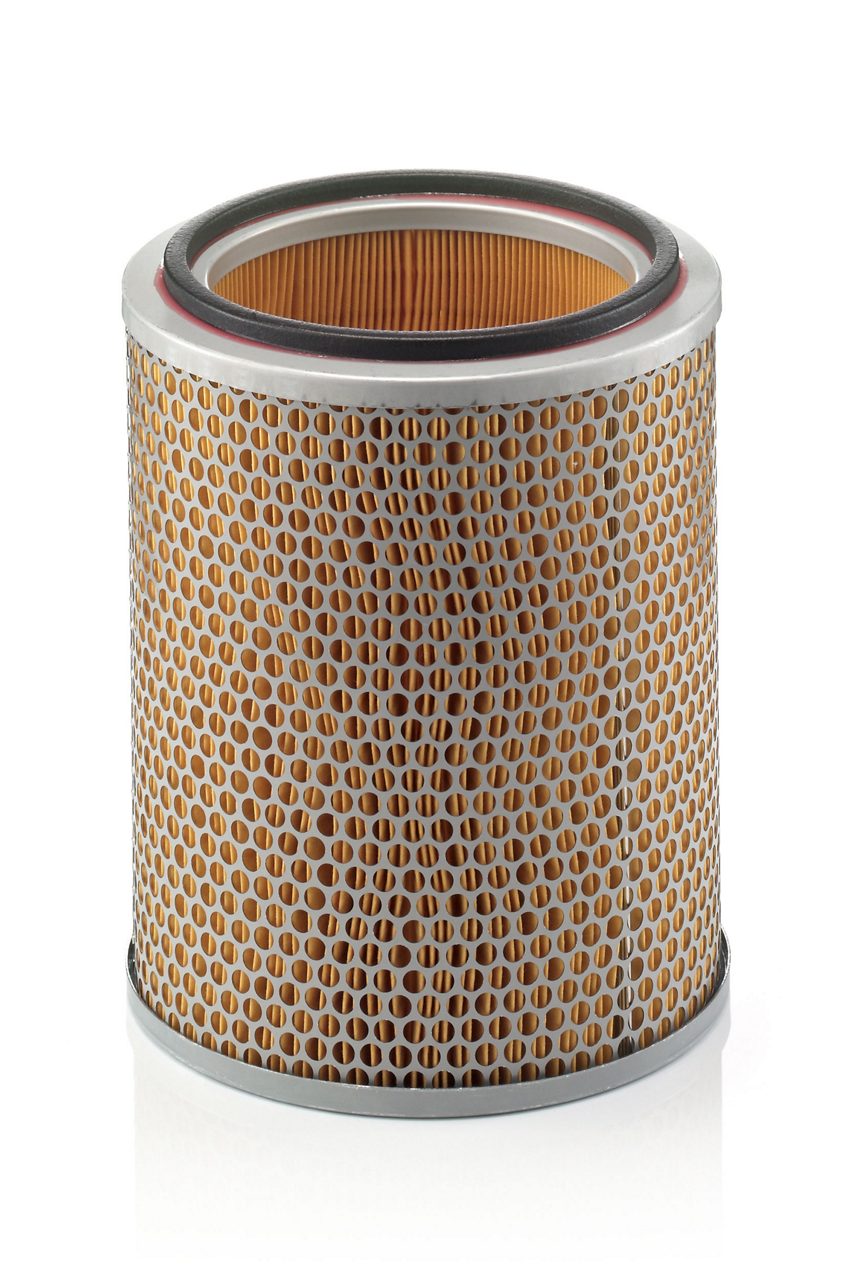 Product Image C22224_MANN-FILTER