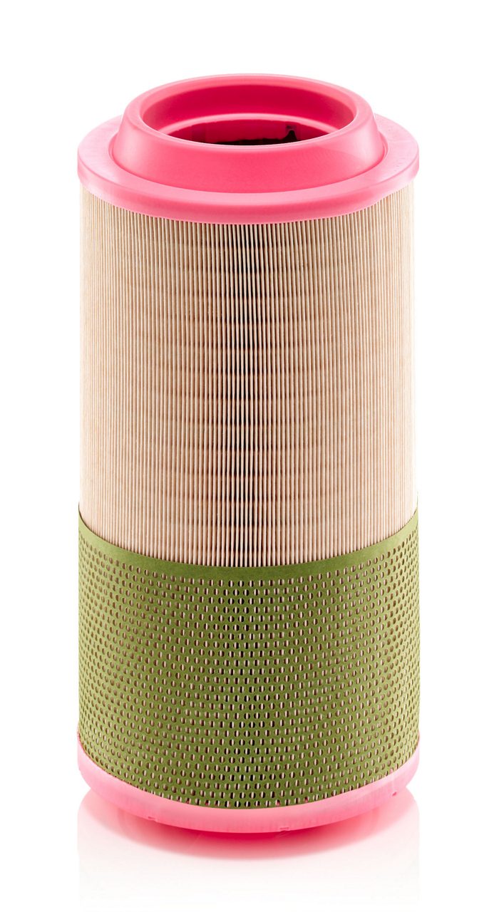 Product Image C22625_MANN-FILTER
