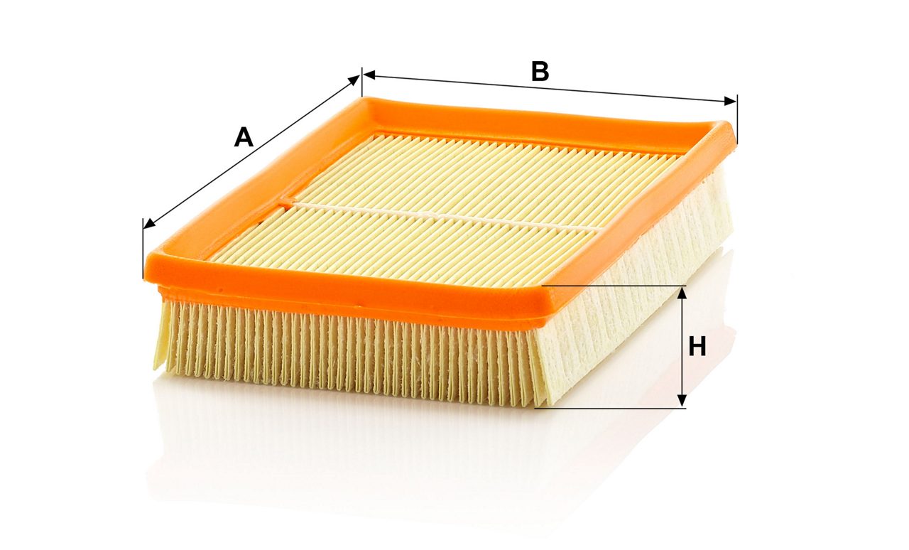 Product Image C2448_MANN-FILTER