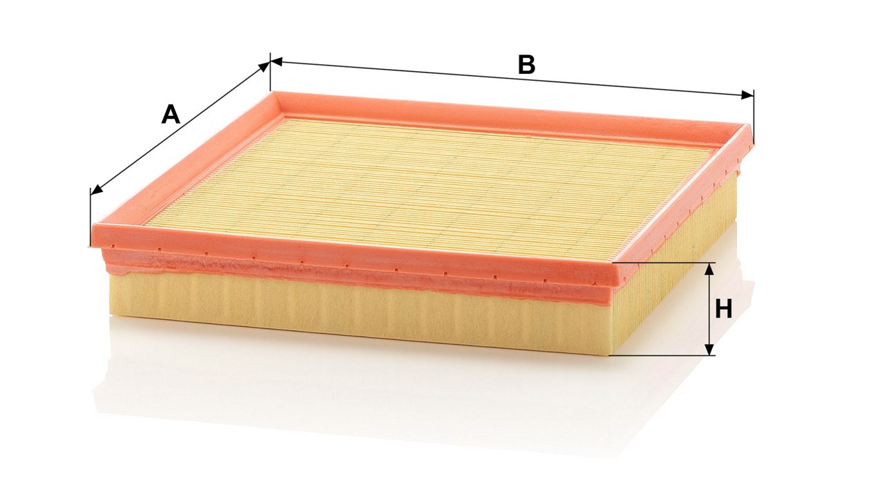 Product Image C2493_MANN-FILTER