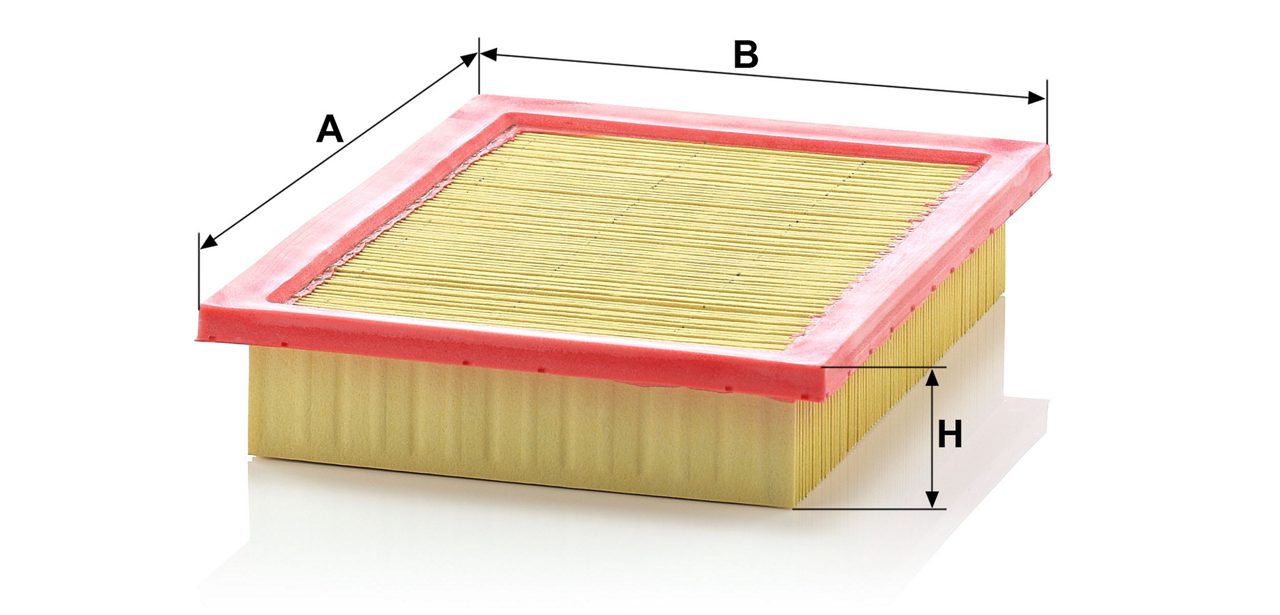 Product Image C2496_MANN-FILTER