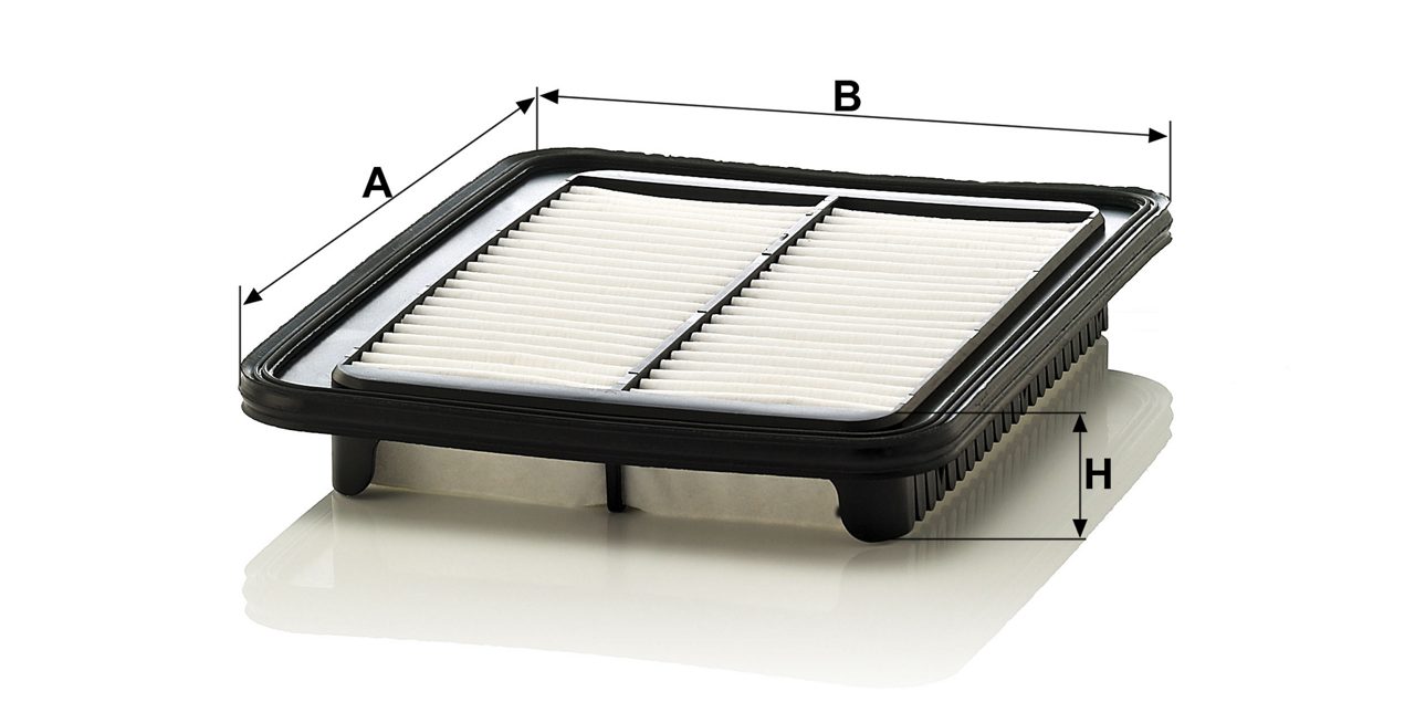 Product Image C24010_MANN-FILTER