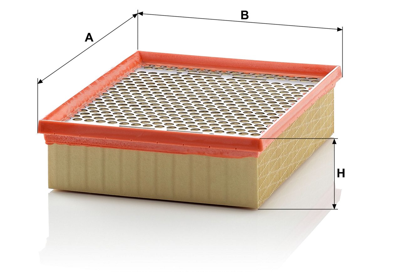 Product Image C24128/2_MANN-FILTER