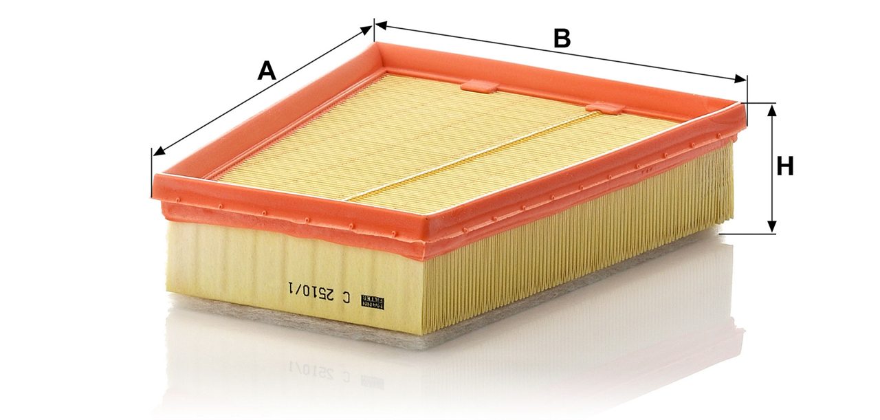 Product Image C2510/1_MANN-FILTER