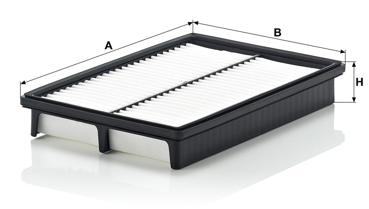 Product Image C2524/1_MANN-FILTER