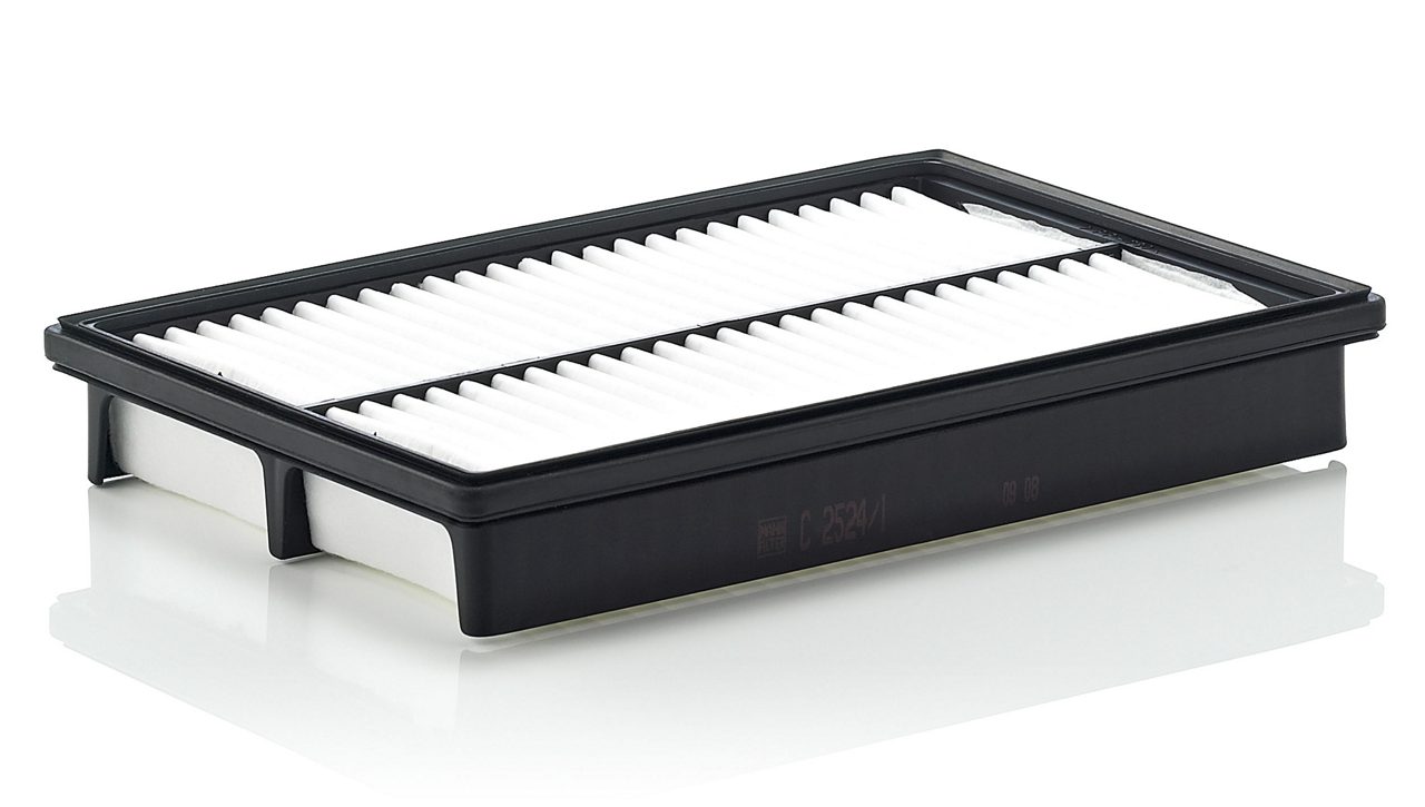 Product Image C2524/1_MANN-FILTER