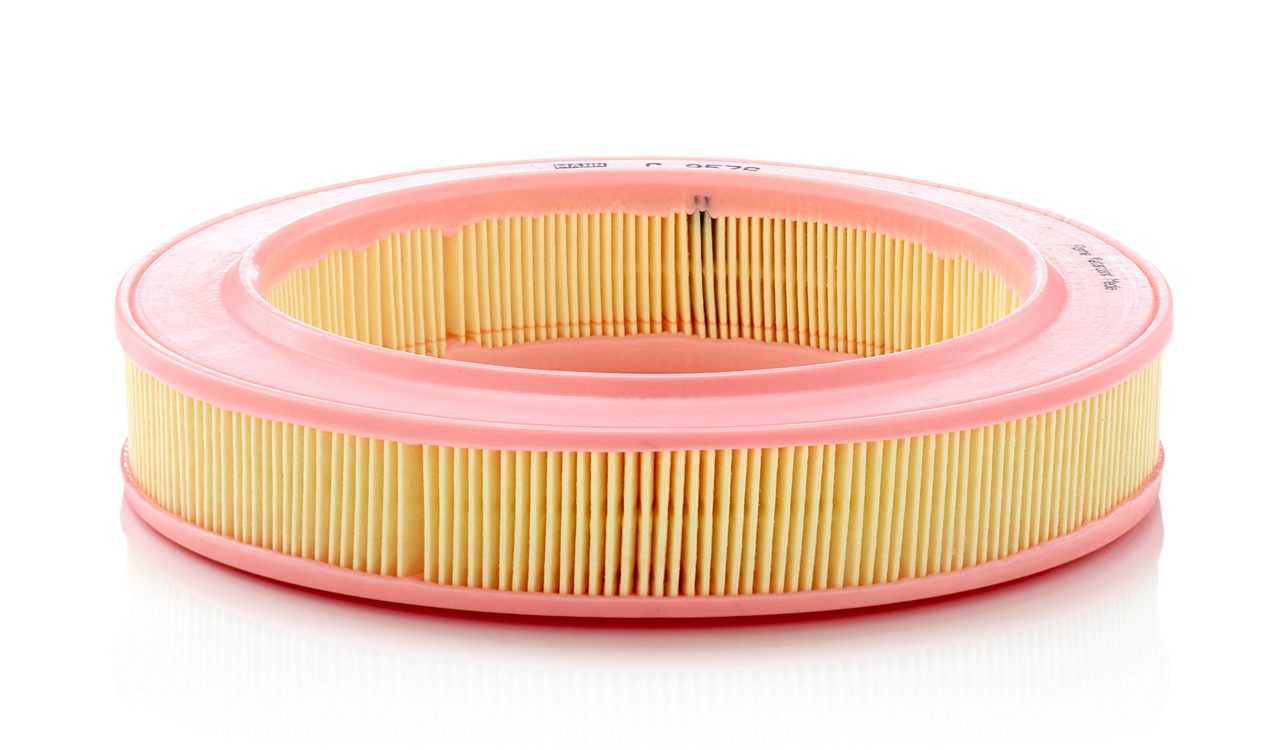 Product Image C2536_MANN-FILTER