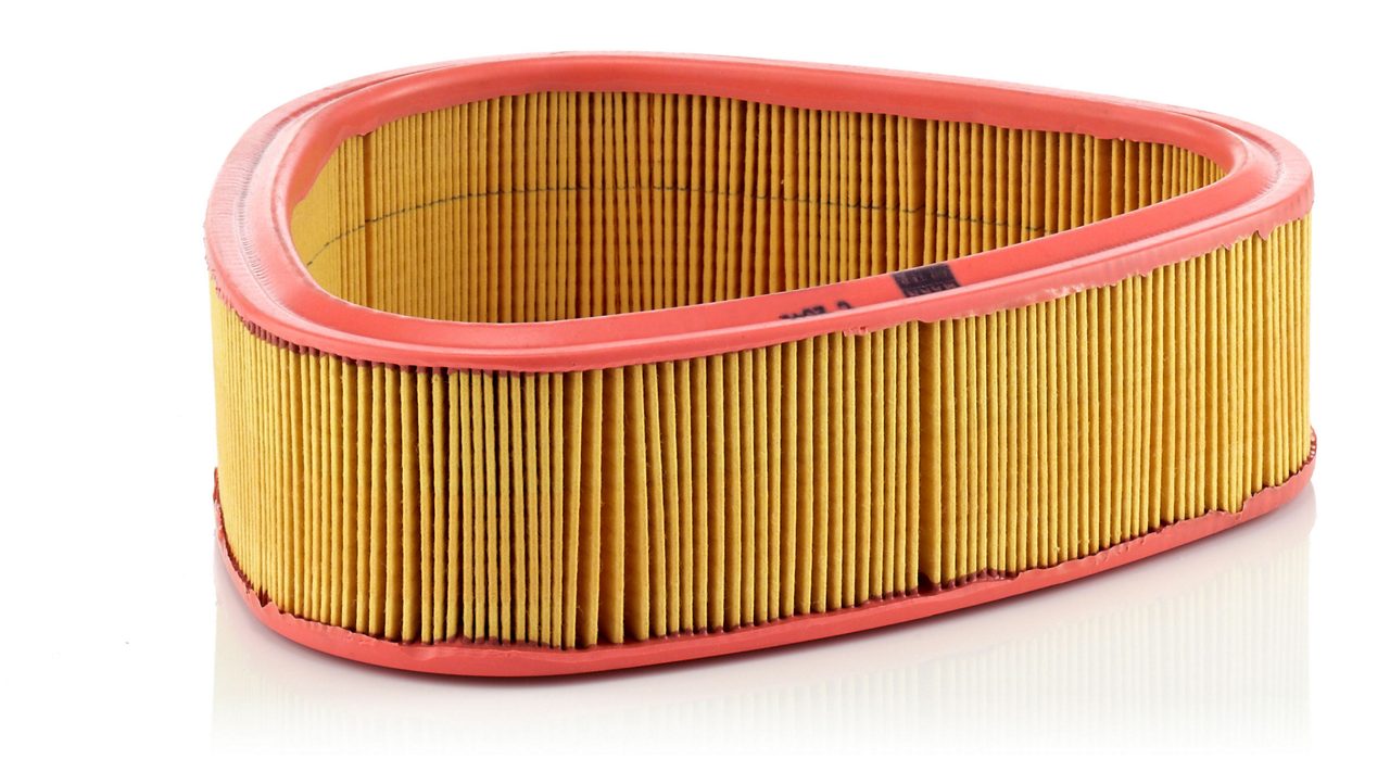 Product Image C2541_MANN-FILTER